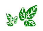 Giulio officinalis